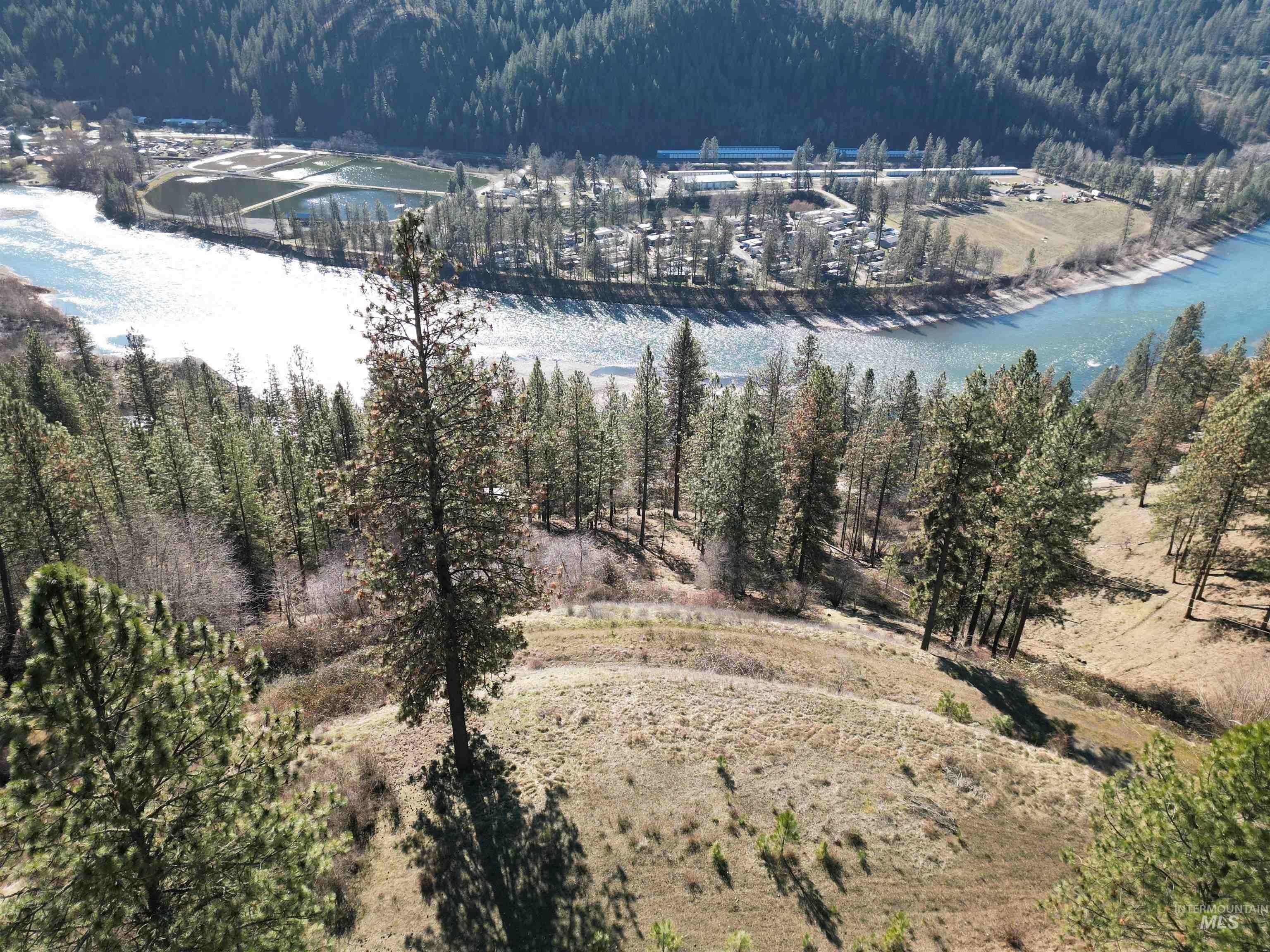 22.49 Acres with River Views