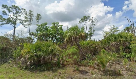 Land, NORTH PORT, FL
