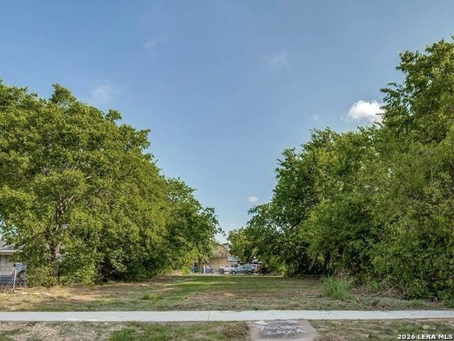 Picture 10