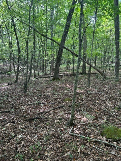 Picture 9
