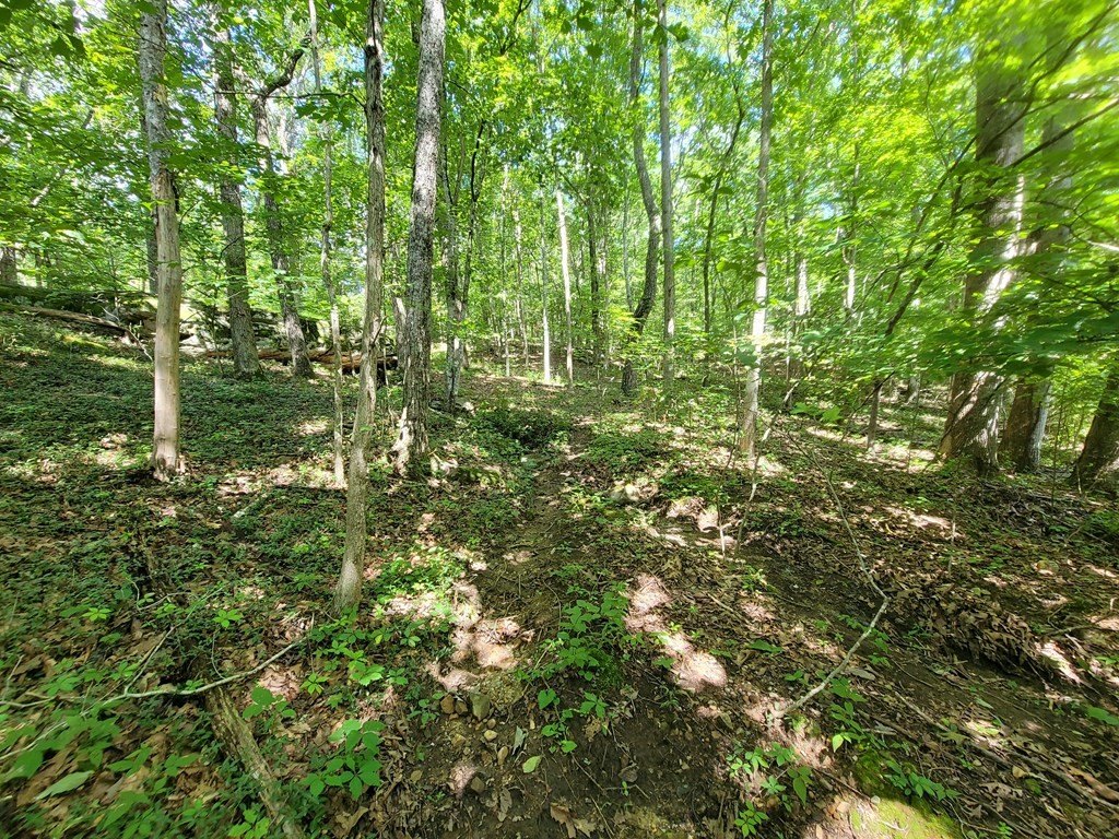 Picture 19