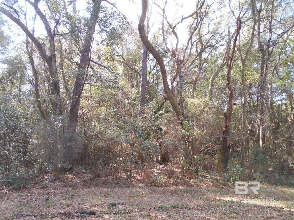 Picture 8