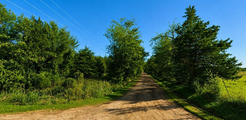 Picture 7
