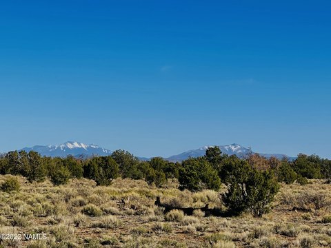 12-Acre Land Parcel in Williams, AZ