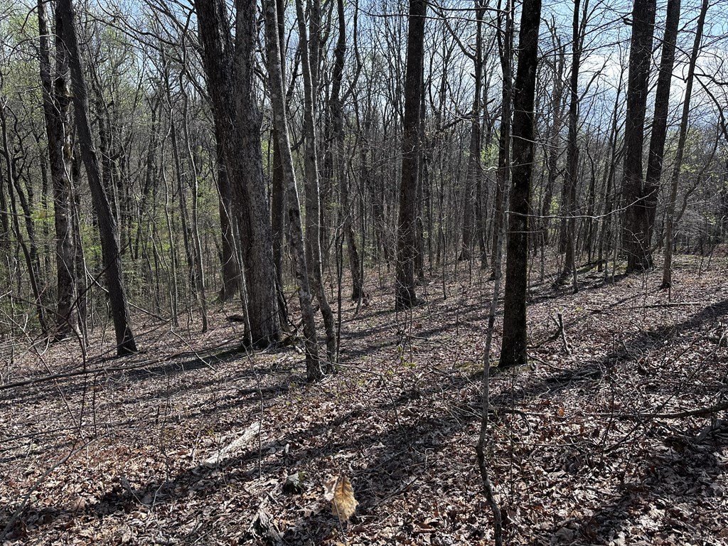 Picture 13