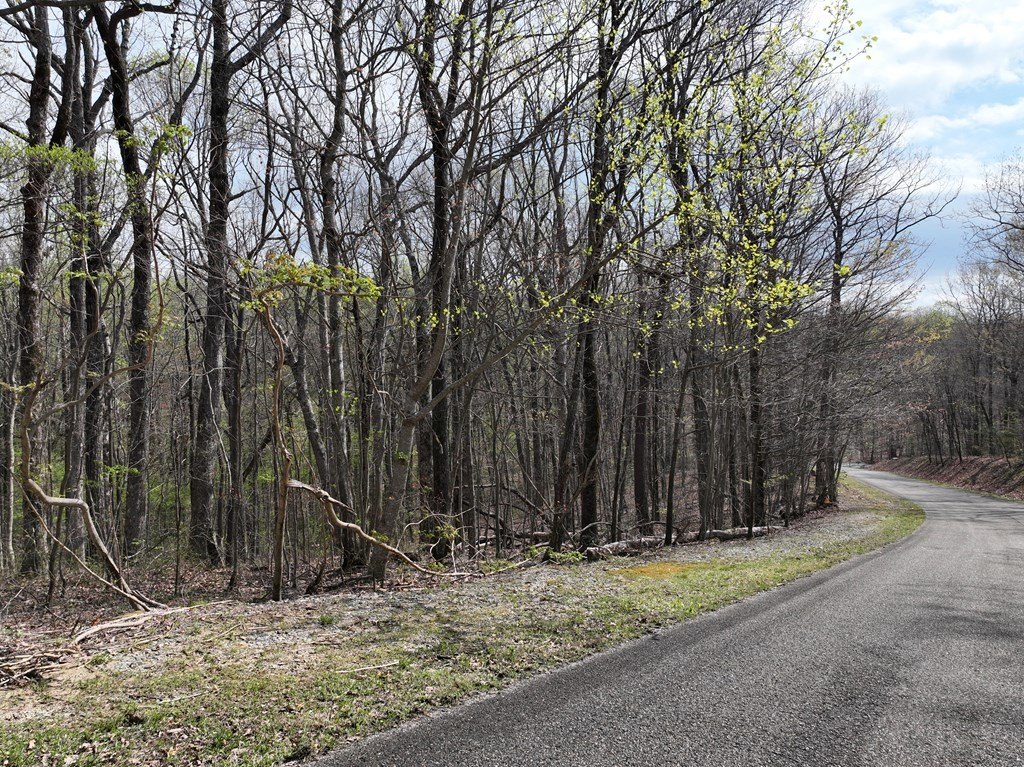 Picture 27
