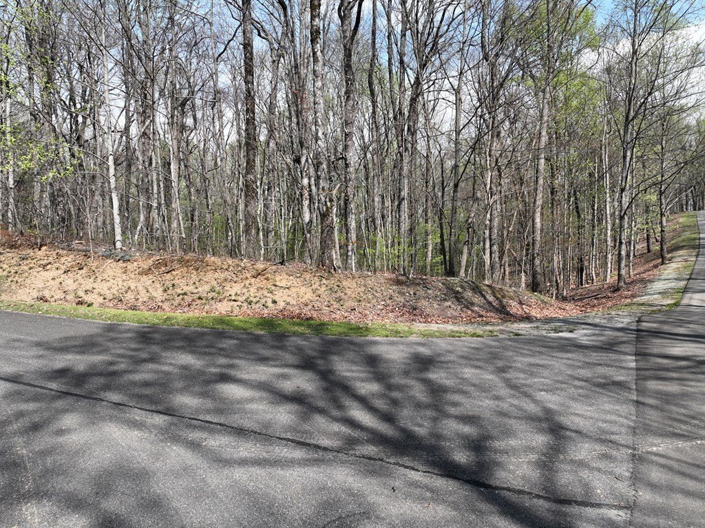 Picture 24