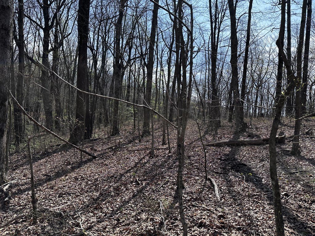 Picture 15