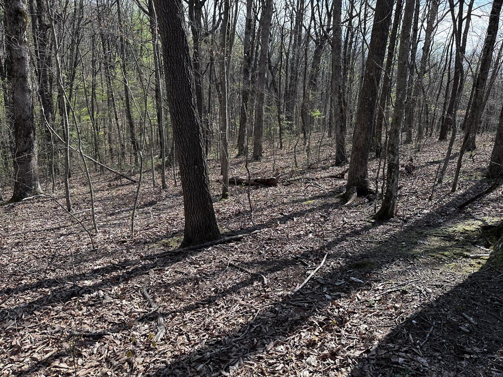 Picture 14
