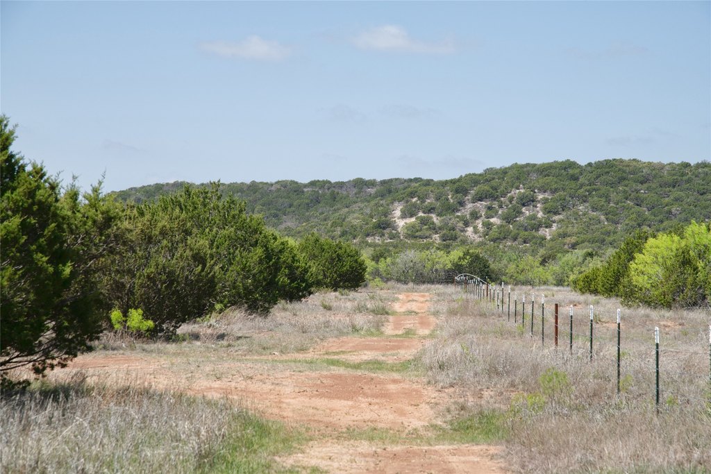 Picture 26