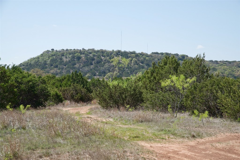 Picture 27