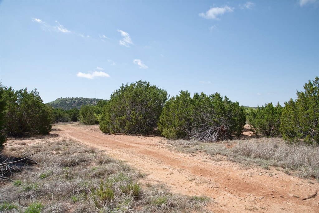 Picture 23