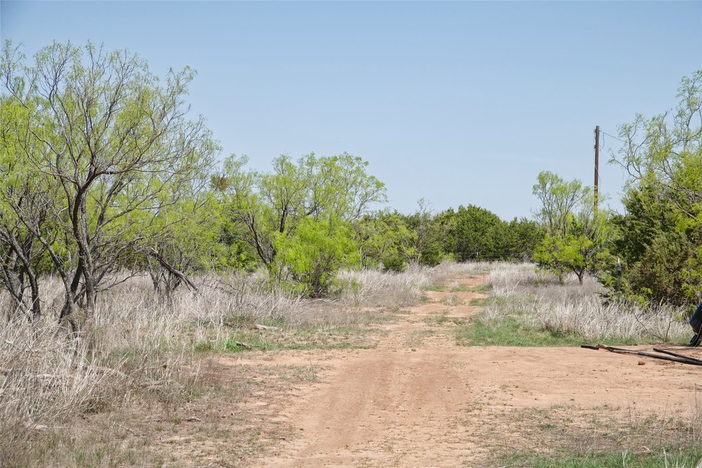 Picture 29
