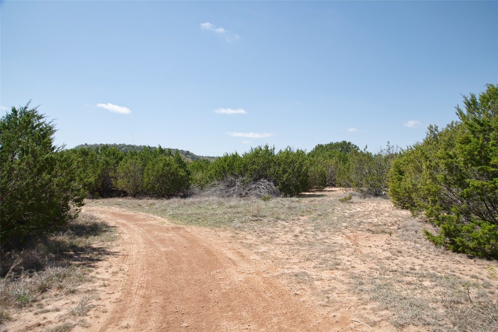 Picture 30