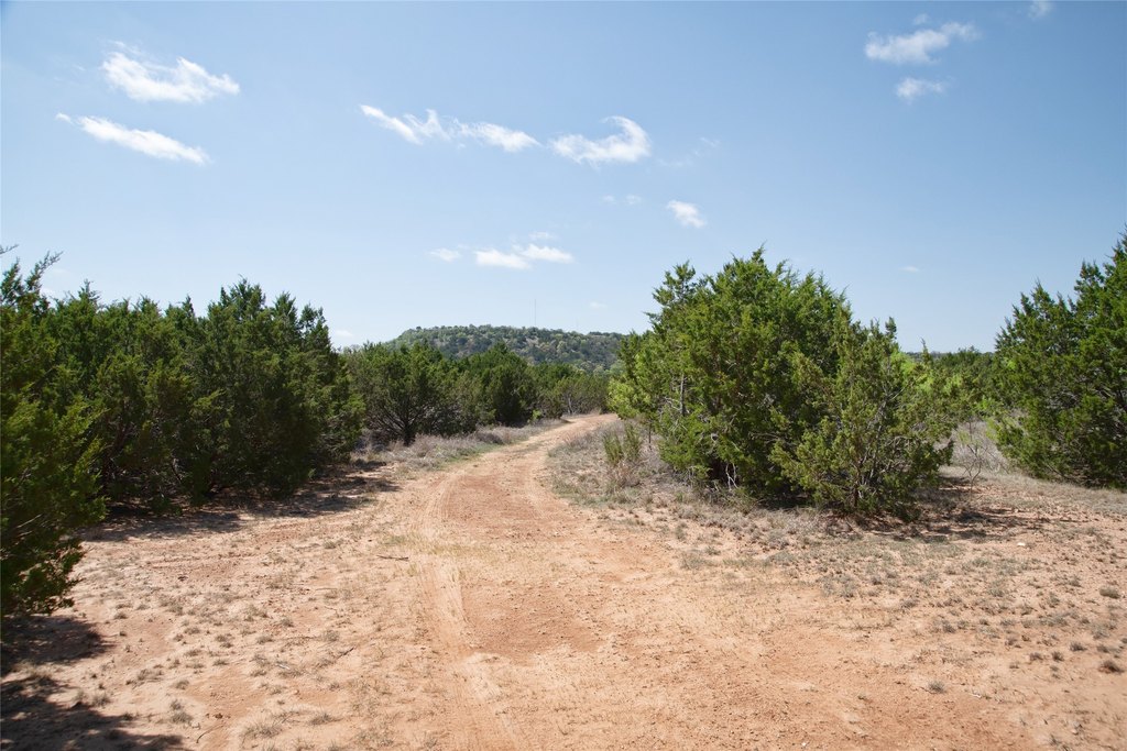 Picture 22