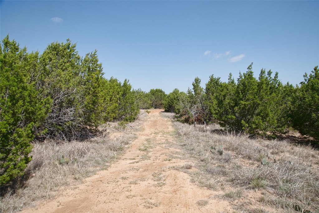 Picture 20