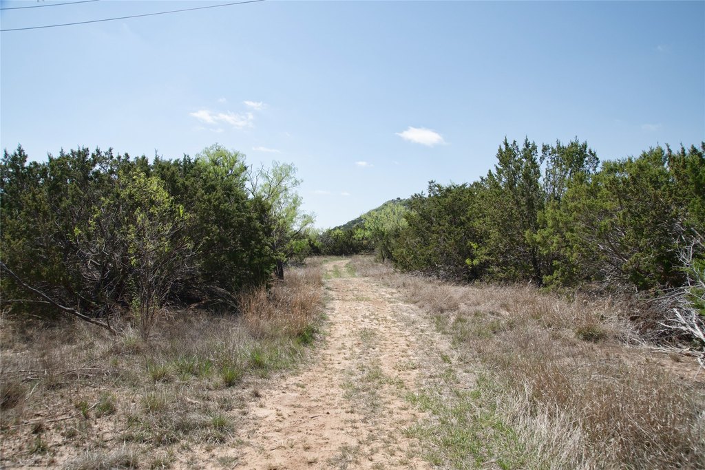 Picture 31