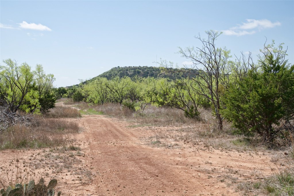 Picture 28