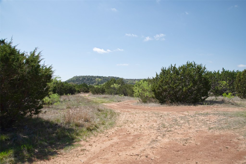 Picture 25