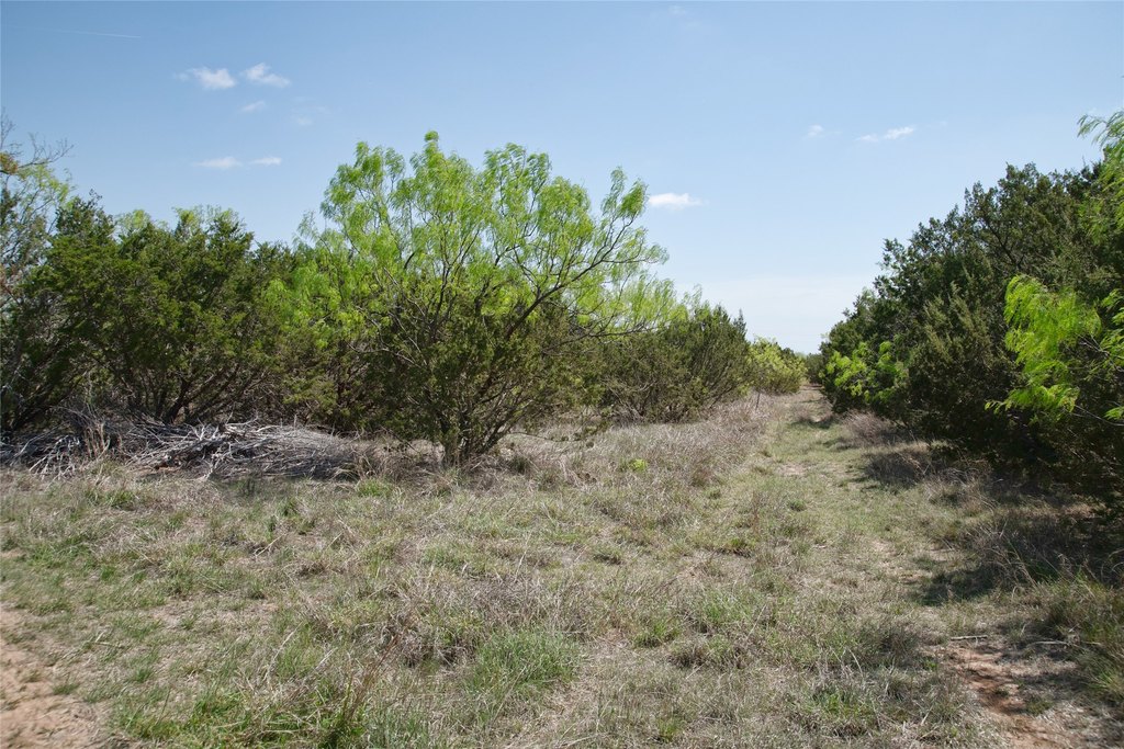 Picture 32