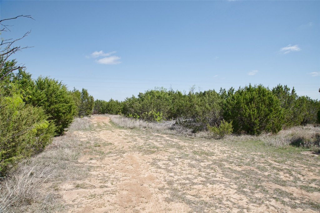Picture 19