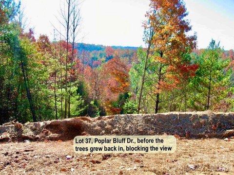 Residential Land Lot at Culdesac
