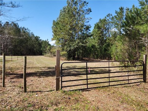 1175 Acres of Hunting Land