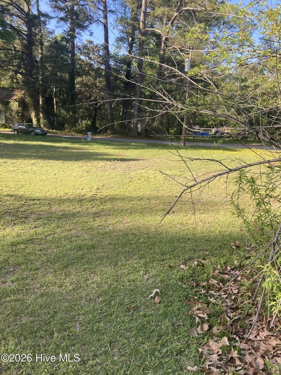 Picture 2