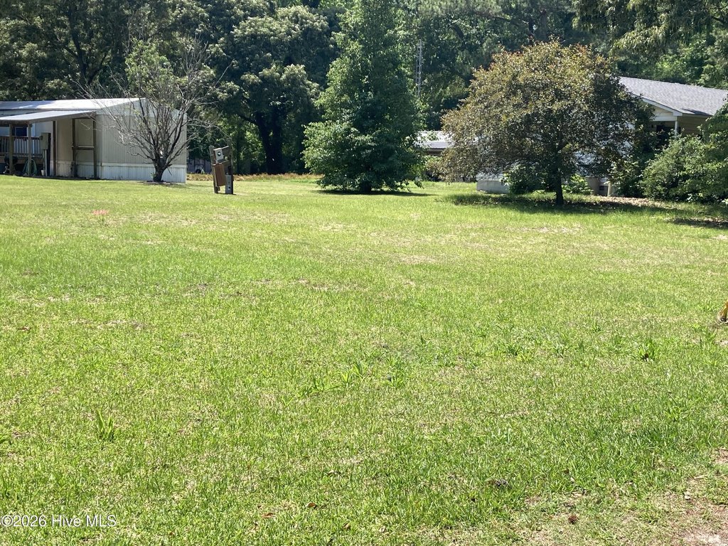 Picture 10
