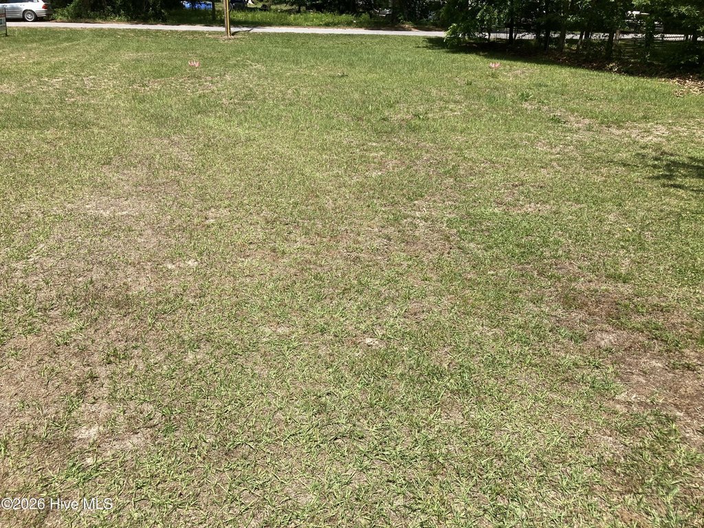 Picture 17