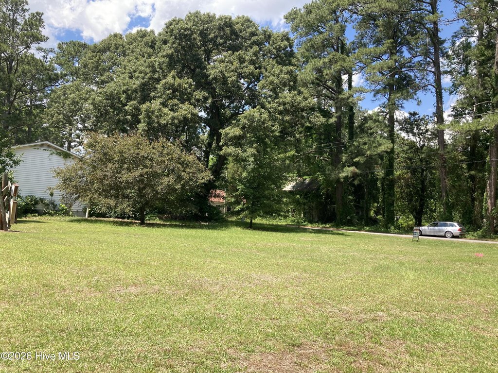 Picture 16