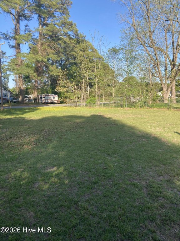 Picture 3