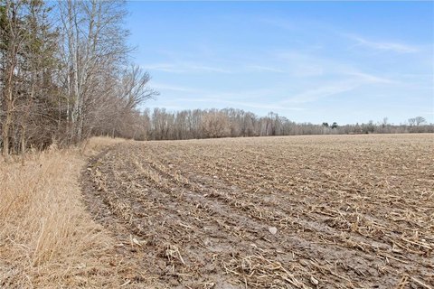 35 Acres of Land, Dalbo