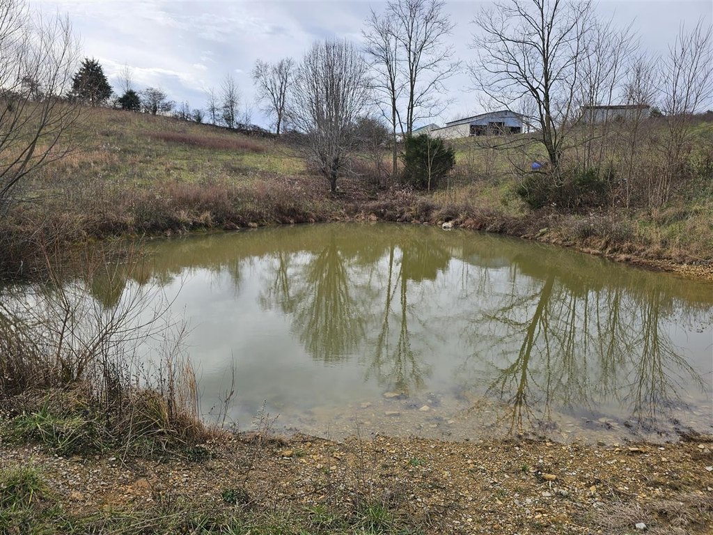 Picture 2