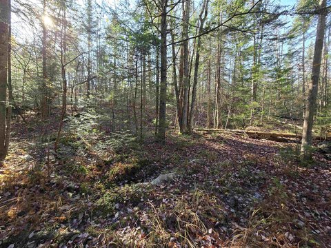 Milan, NH 10-Acre Land