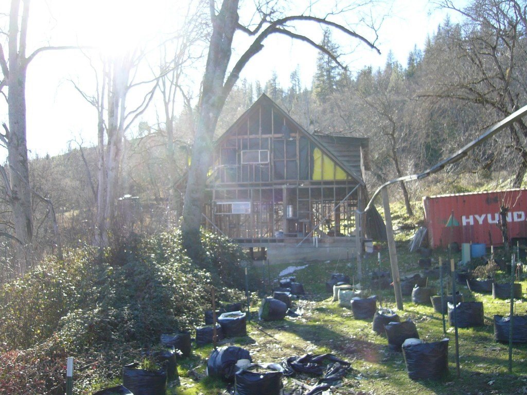 Picture 17