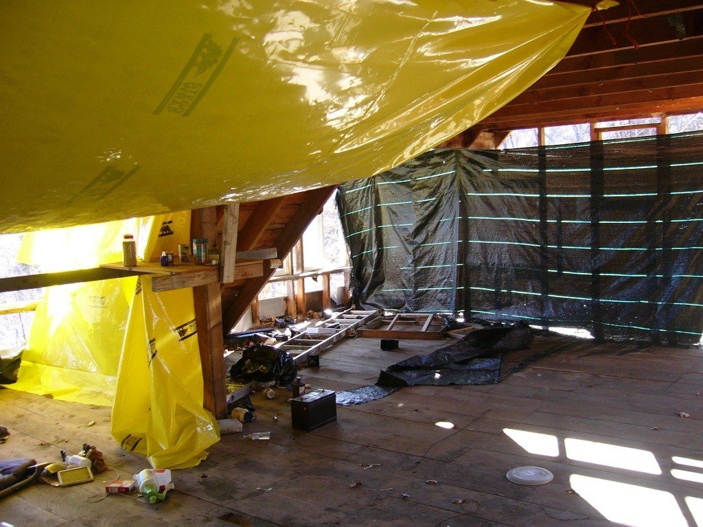 Picture 24