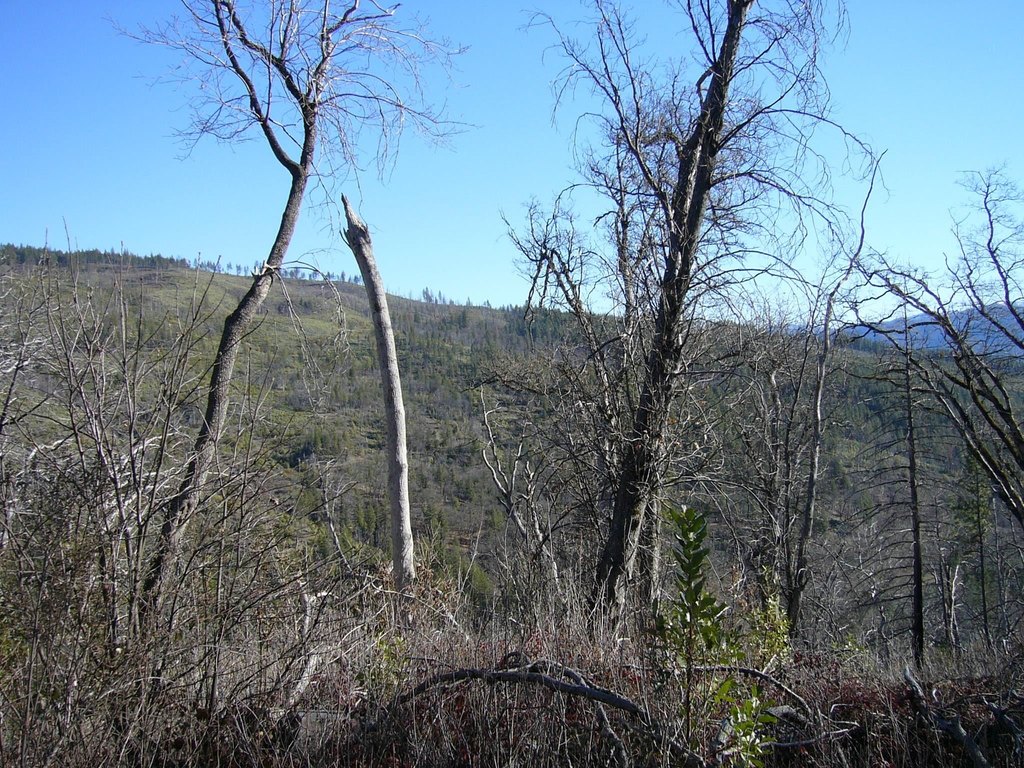 Picture 19