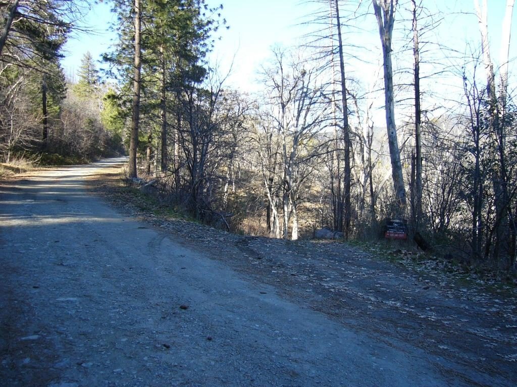 Picture 28