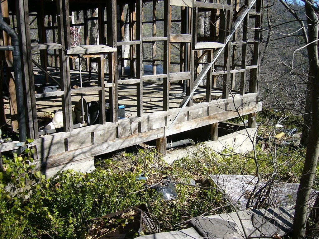 Picture 26