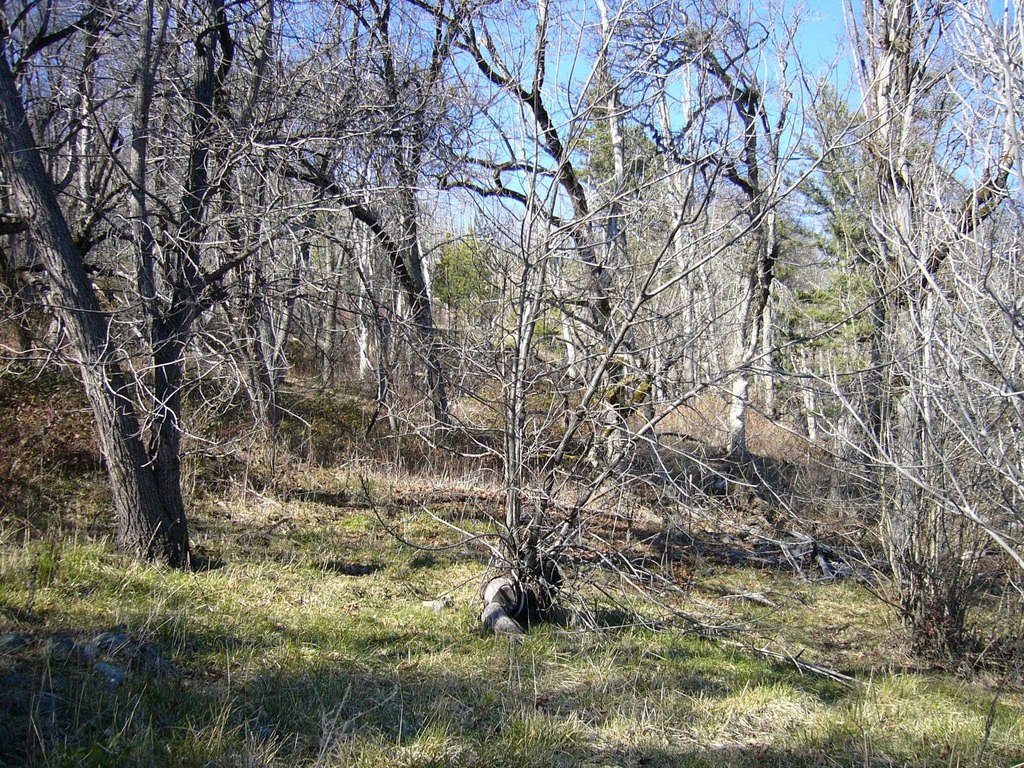 Picture 8