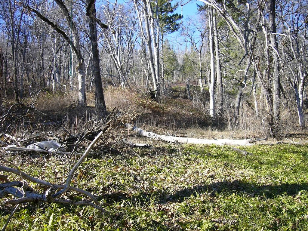 Picture 13
