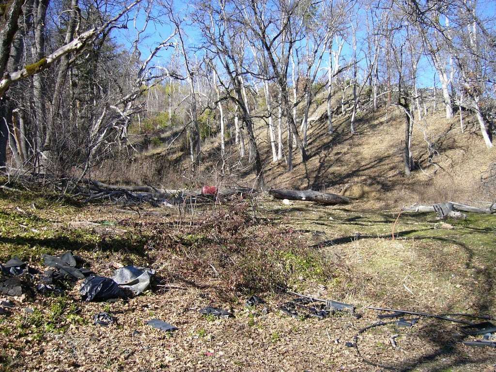 Picture 10