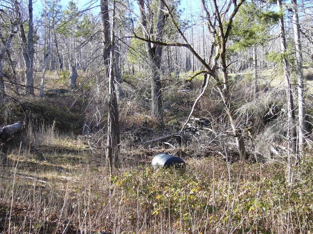 Picture 14