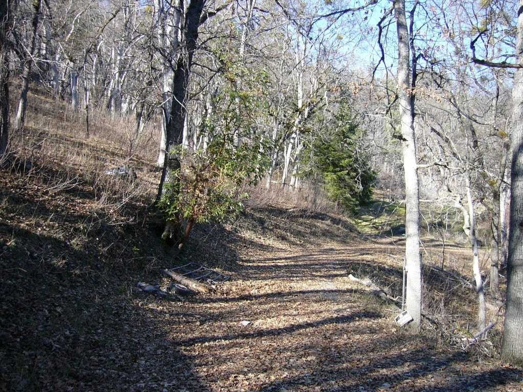 Picture 3