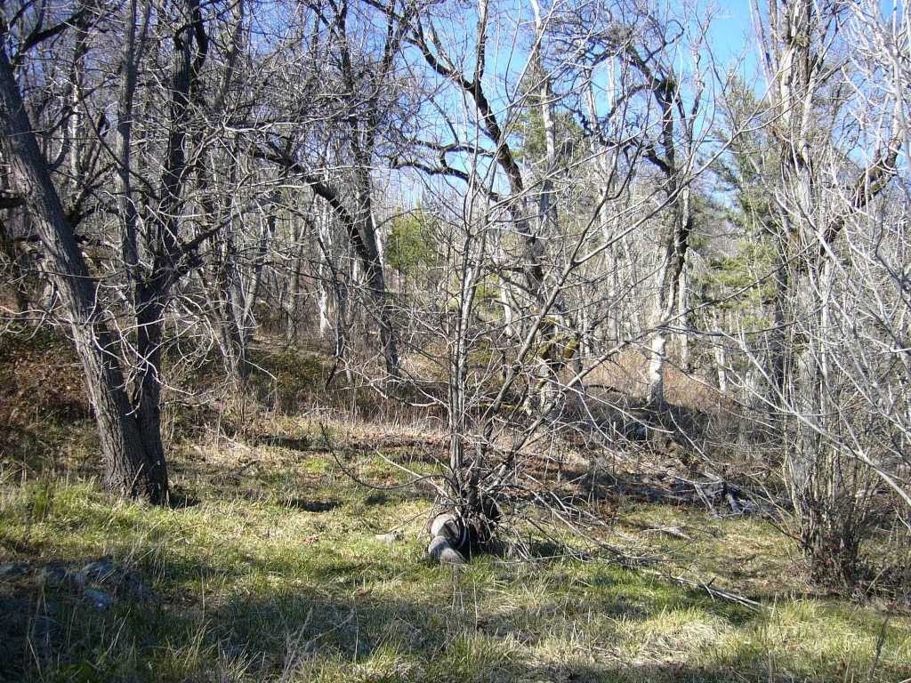 Picture 8