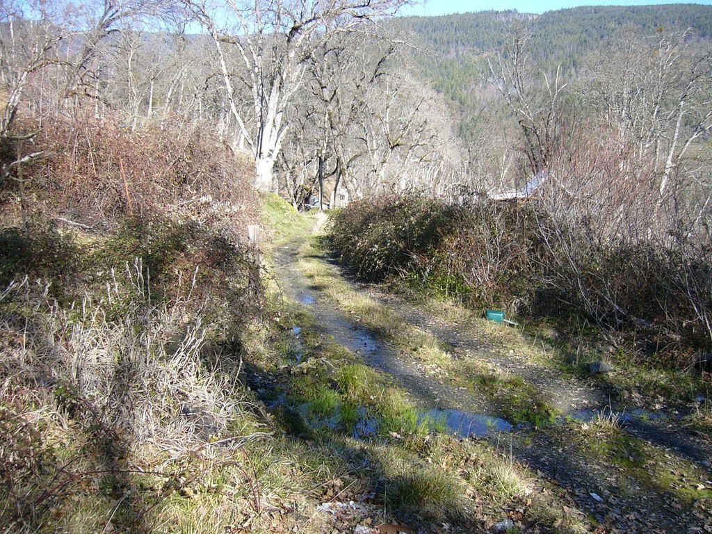 Picture 7