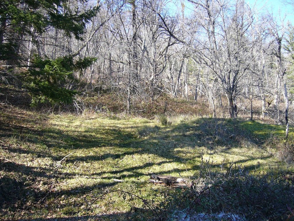 Picture 5