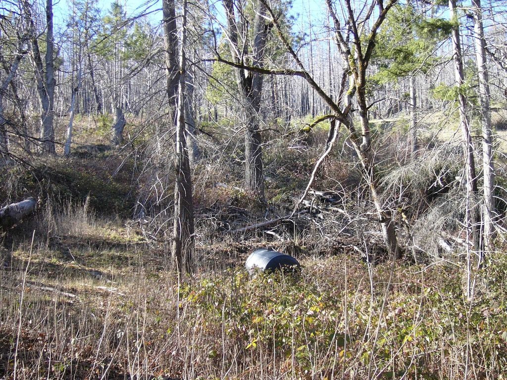 Picture 14