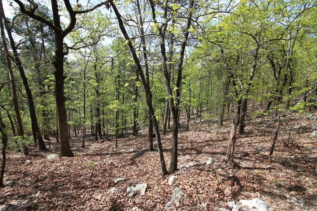 Picture 15